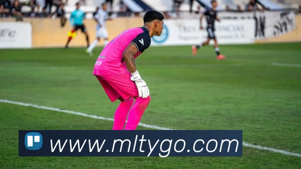 米兰体育服务体系